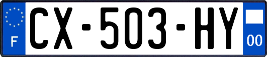 CX-503-HY