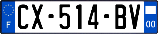 CX-514-BV