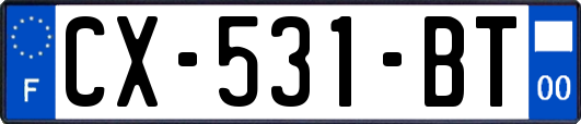 CX-531-BT