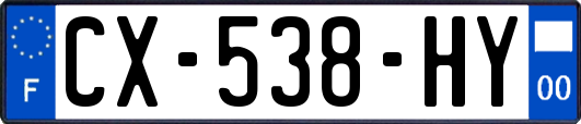 CX-538-HY