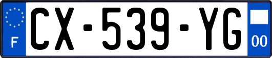 CX-539-YG