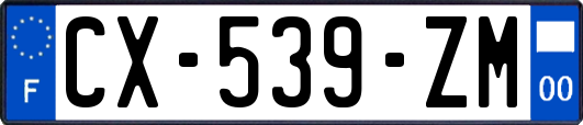 CX-539-ZM