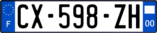 CX-598-ZH