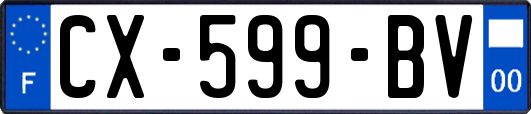 CX-599-BV