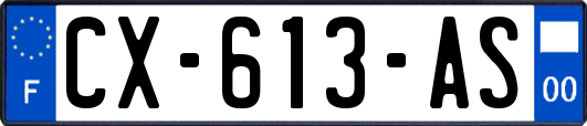 CX-613-AS