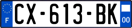 CX-613-BK