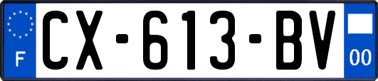 CX-613-BV