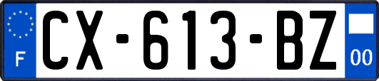 CX-613-BZ