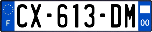 CX-613-DM