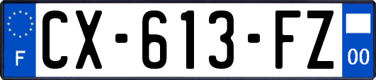 CX-613-FZ