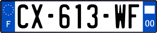 CX-613-WF