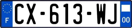 CX-613-WJ