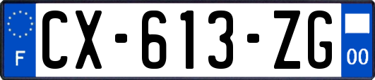 CX-613-ZG