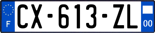 CX-613-ZL