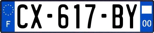 CX-617-BY