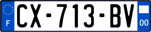 CX-713-BV