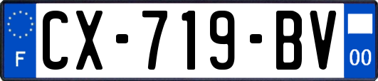 CX-719-BV