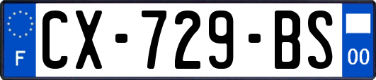 CX-729-BS