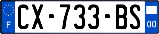 CX-733-BS