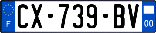 CX-739-BV