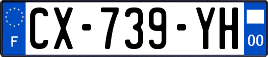 CX-739-YH