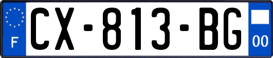 CX-813-BG