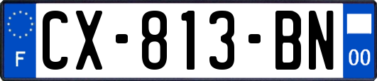 CX-813-BN