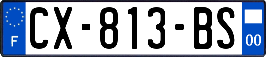 CX-813-BS