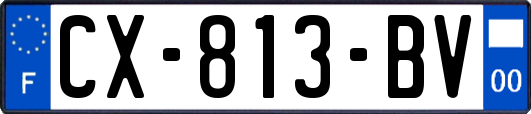 CX-813-BV