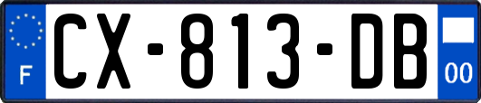 CX-813-DB