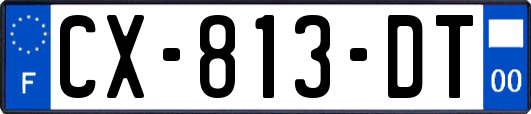 CX-813-DT