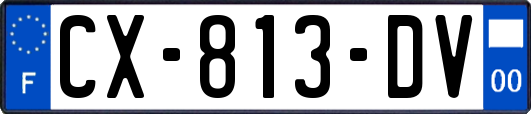 CX-813-DV