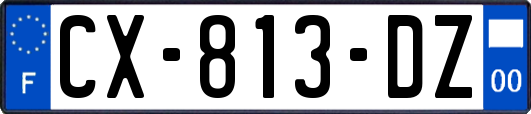 CX-813-DZ