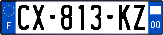 CX-813-KZ