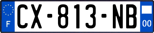 CX-813-NB