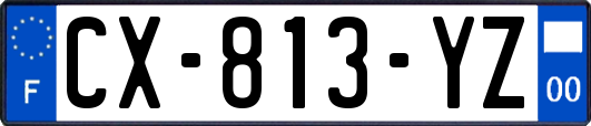 CX-813-YZ