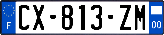 CX-813-ZM