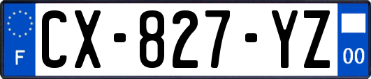 CX-827-YZ