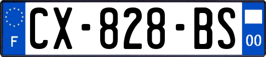 CX-828-BS