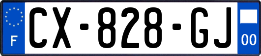 CX-828-GJ