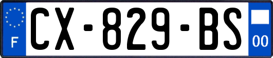 CX-829-BS