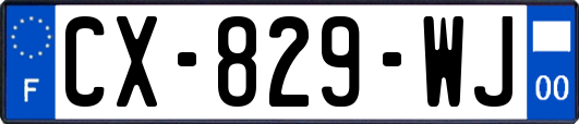 CX-829-WJ