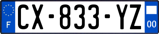 CX-833-YZ