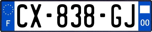 CX-838-GJ