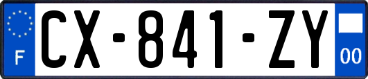 CX-841-ZY