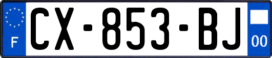 CX-853-BJ