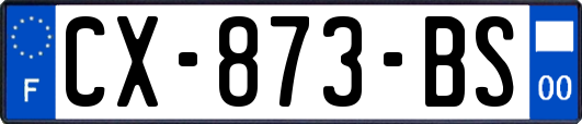 CX-873-BS