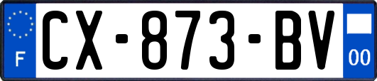 CX-873-BV