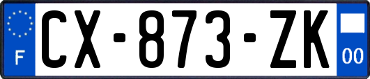 CX-873-ZK