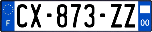 CX-873-ZZ